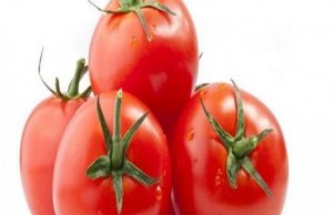 گوجه