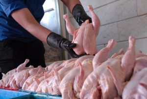 قیمت مرغ باز هم افزایش یافت/ سرکوب نرخ منجر به بحران می‌شود