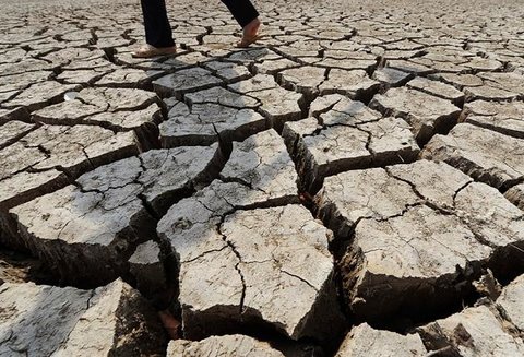فناوری جدید برای مبارزه با خشکسالی