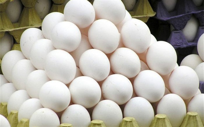 برخورد جدی ستاد تنظیم بازار با گرانفروشی تخم مرغ