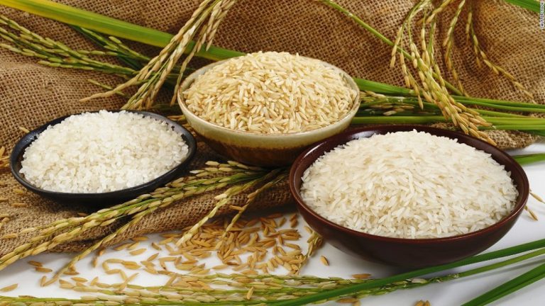 واردات برنج