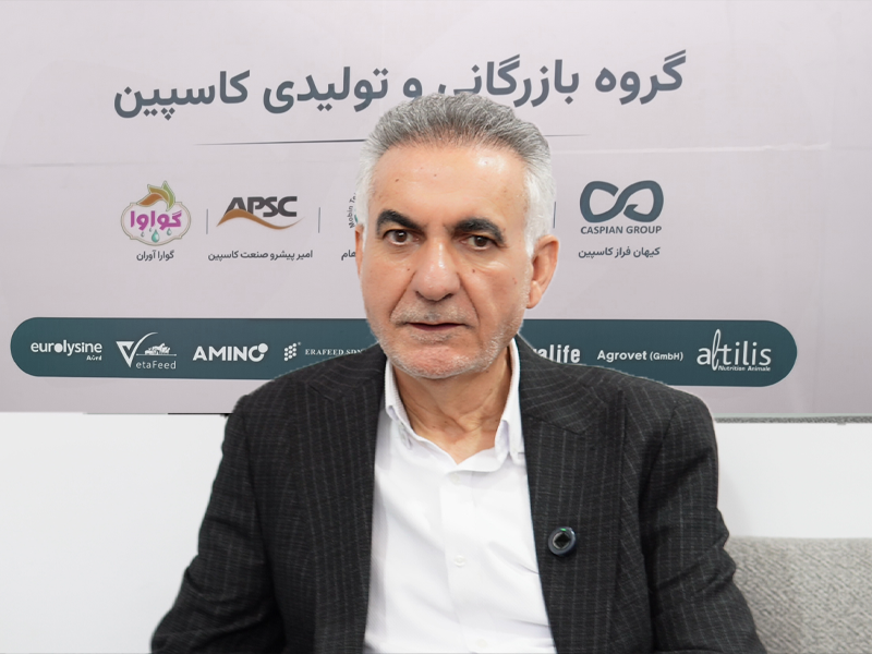 شریعتی
