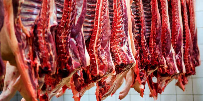 واردات گوشت