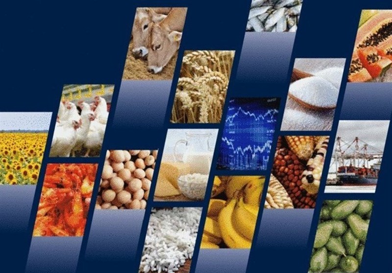 سفارش واردات