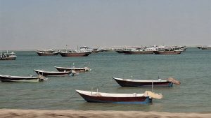 صیادی