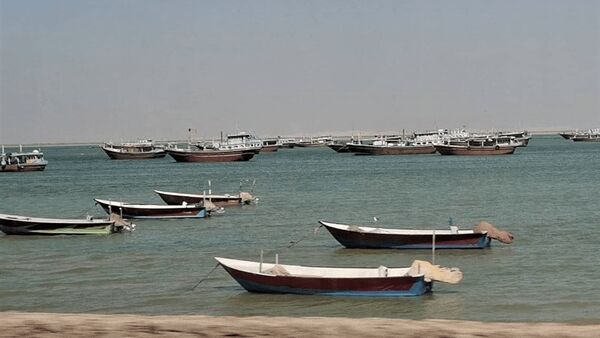 صیادی