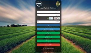بازارگاه
