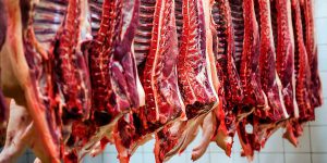 واردات گوشت