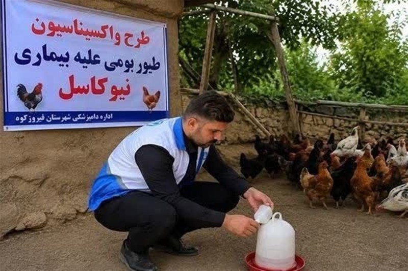 واکسیناسیون