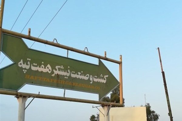 نیشکر