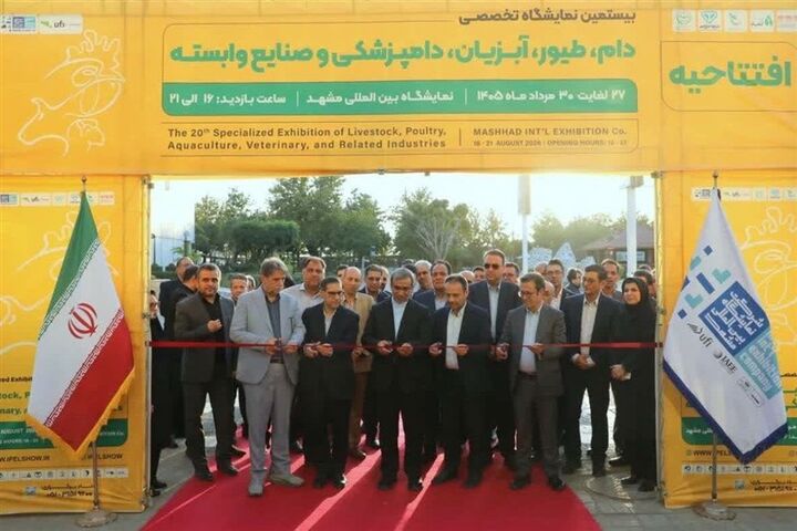 نمایشگاه