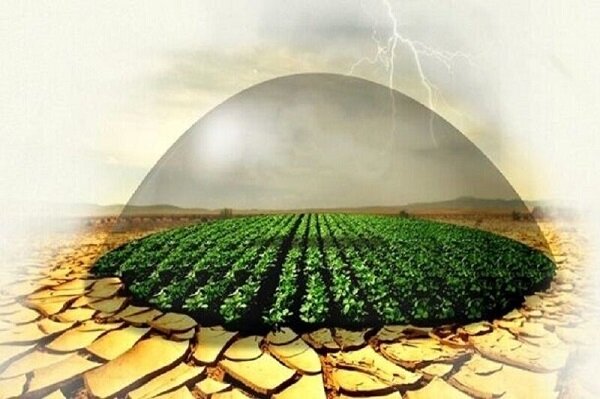 بیمه کشاورزان