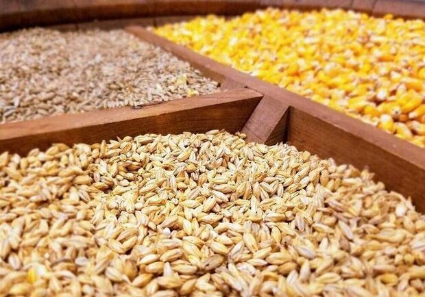 نهاده‌های کشاورزی