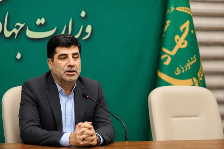 نیمی از واردات برنج محقق شد/ پرداخت طلب گندمکاران تا پایان مهر