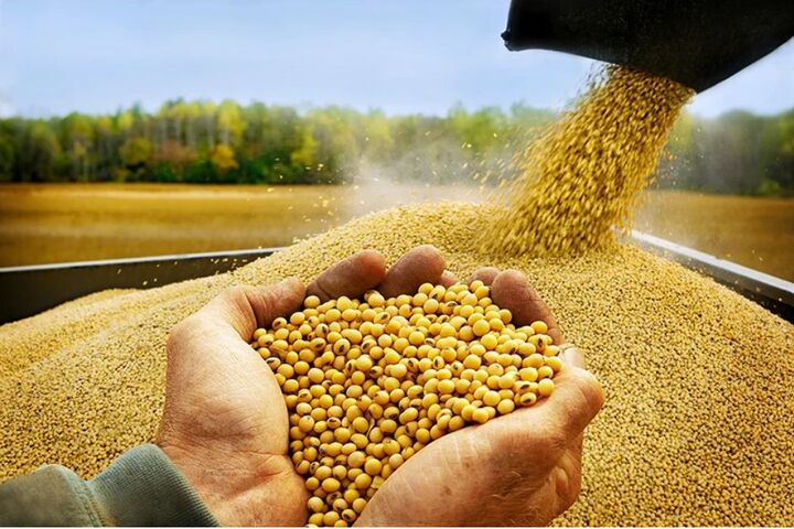 ذخایر جهانی غلات