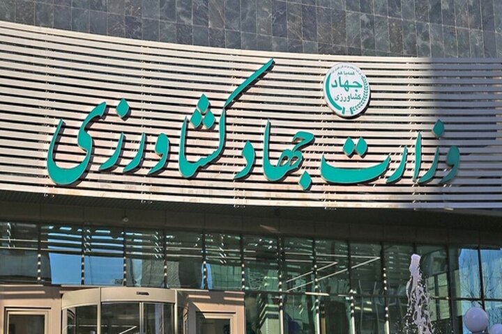 تشکل