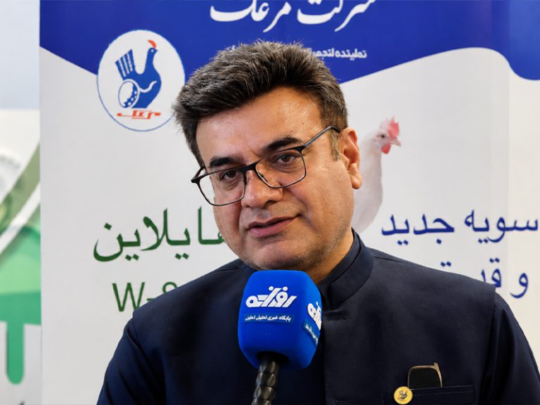 مدیریت بحران در صنعت مرغ تخم‌گذار / مرغک چگونه تهدیدهای جنگی را پشت سر گذاشت؟