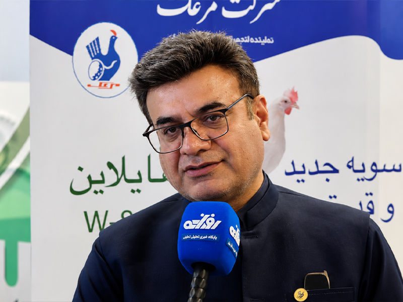مدیریت بحران در صنعت مرغ تخم‌گذار / مرغک چگونه تهدیدهای جنگی را پشت سر گذاشت؟