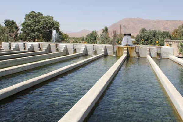 صادرات کشاورزی